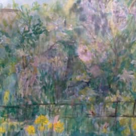 Одуванчики в саду