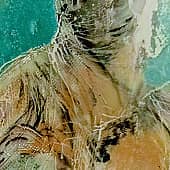 Черепашка по имени Наташка (1), художник Евгения