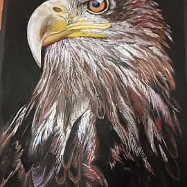 Король неба