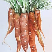 Акварель Морковка