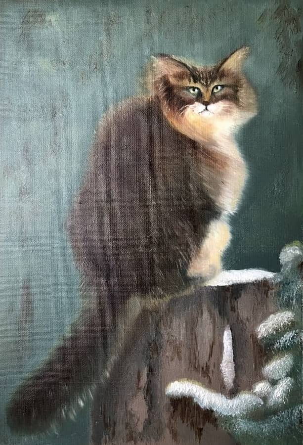 Зимний кот