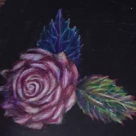 Ночная роза