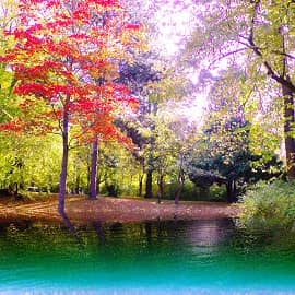 Осенний берег.