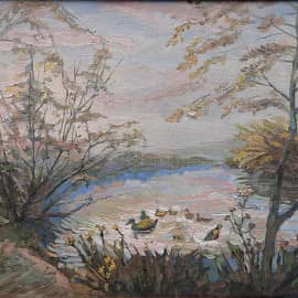 Уточки в реке. Розовый закат. Пейзаж ZhNataly