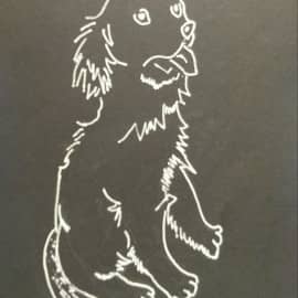 А вкусняшки есть