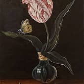 Старинный тюльпан