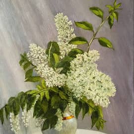 Букет черемухи на солнце.