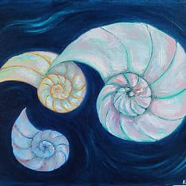 Течение ракушек