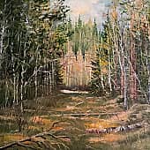 Пленэр. На таёжной просеке.