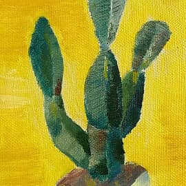 Кактус на желтом фоне