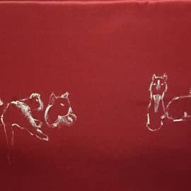 8 кошек и котов