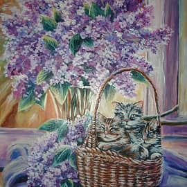 Котики в корзине.