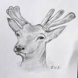 Зверь. Быстрый рисунок