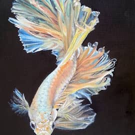 Золотая рыбка