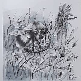 Луговая "птичка"