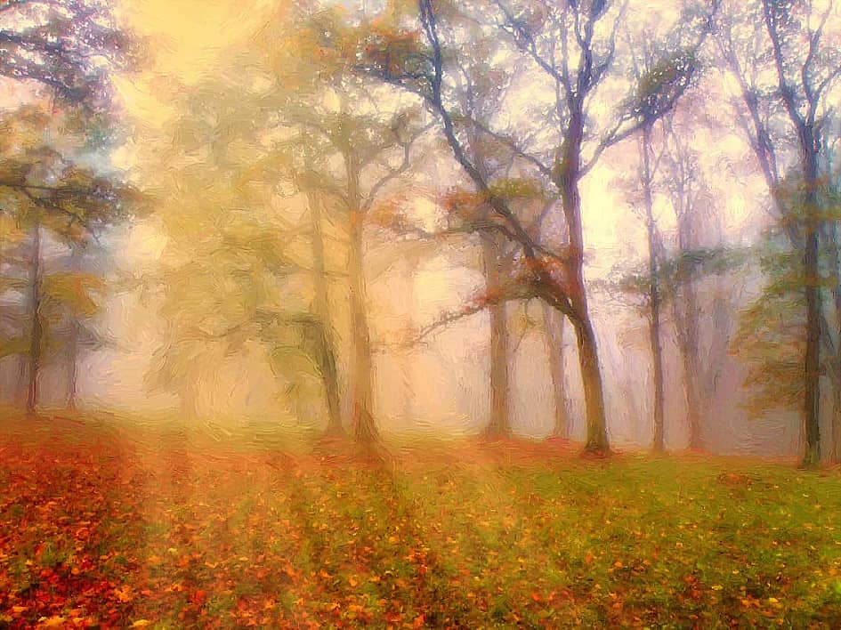 Сквозь туман.