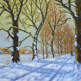 Зимний парк