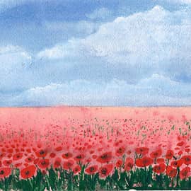 Маковое поле