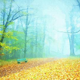 туманная аллея