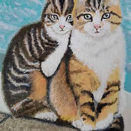 Котики на берегу