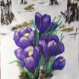 Первые крокусы