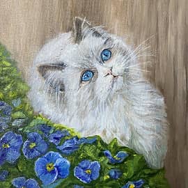 Анютины глазки