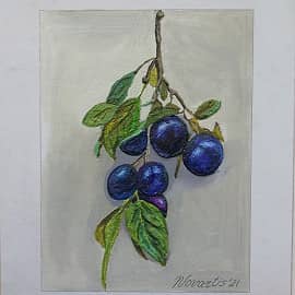 Веточка сливы