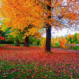 Шла осень вдоль реки.
