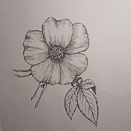 Нежный цветок