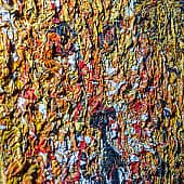 Картина Дикий зверь Живопись маслом Екатерина Лебедева художник (7), художник Екатерина Лебедева