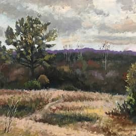 Засентябрило. Поникли травы