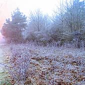 Морозное утро.