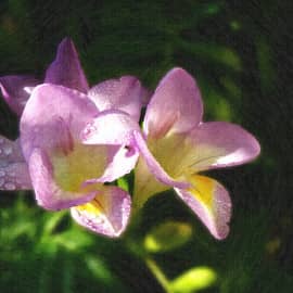 Рано утром, на рассвете