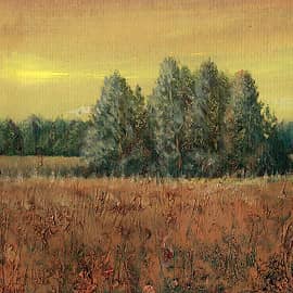 Среди полей. Август 8  Among the Fields. August 8