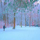 Зимний парк.