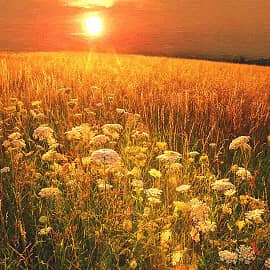 Жаркое лето.