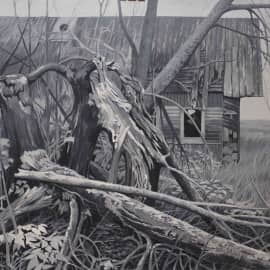 Старая рябина