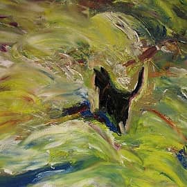 Чёрный кот на белом снегу