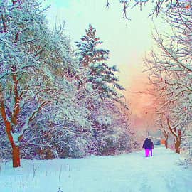 Рано утром на прогулку.