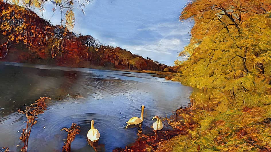 Лебединое озеро.