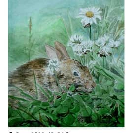Зайчик 2010 48х36 бумага акварель