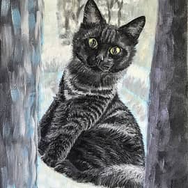 Кошечка Мими