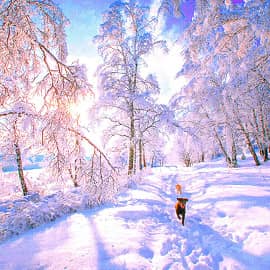 ...день чудесный