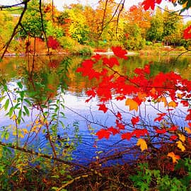 Осенние кружева-2.