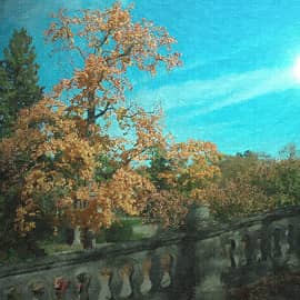 Лунная ночь.