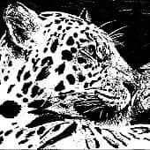 Морда 4