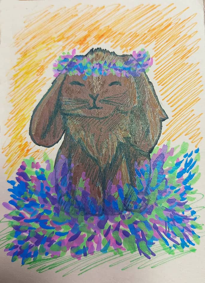 "Мой кролик"