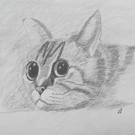 Жизнь тяжела