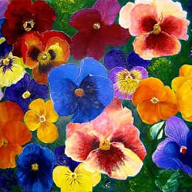 Анютины глазки