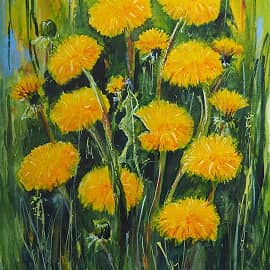 Поле одуванчиков